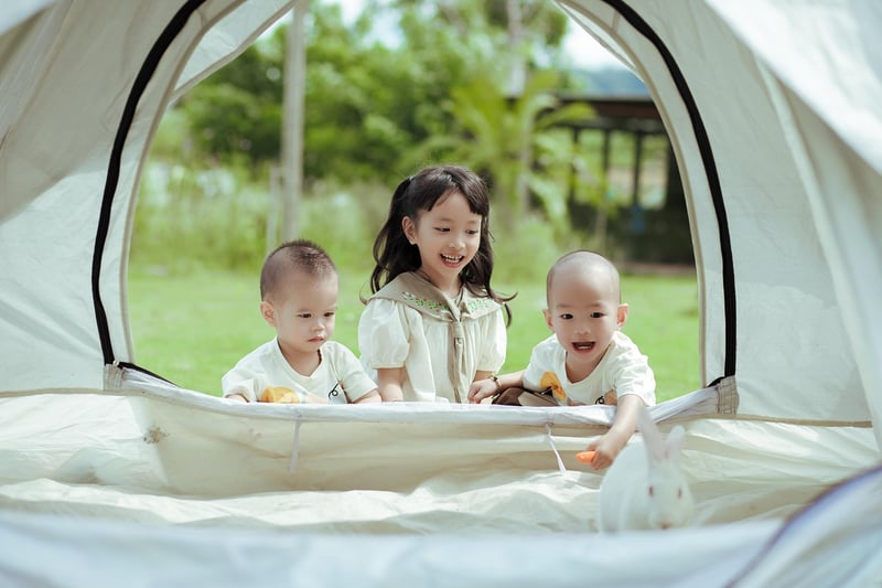 Safari Camp